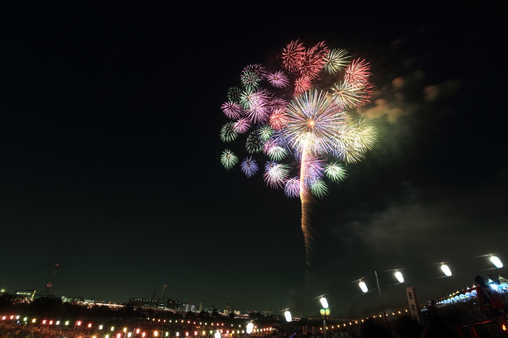 天空の花（夏）