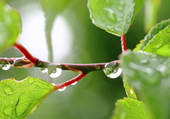 梅雨空