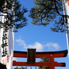 新しい年