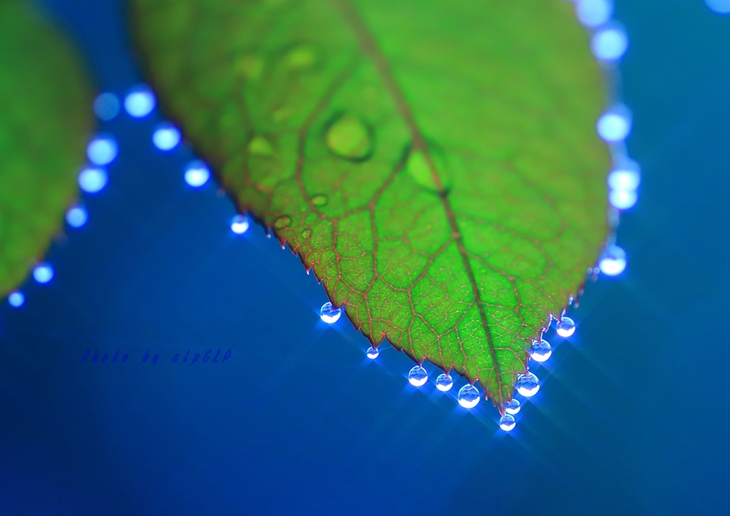 Art of rain Pt18
