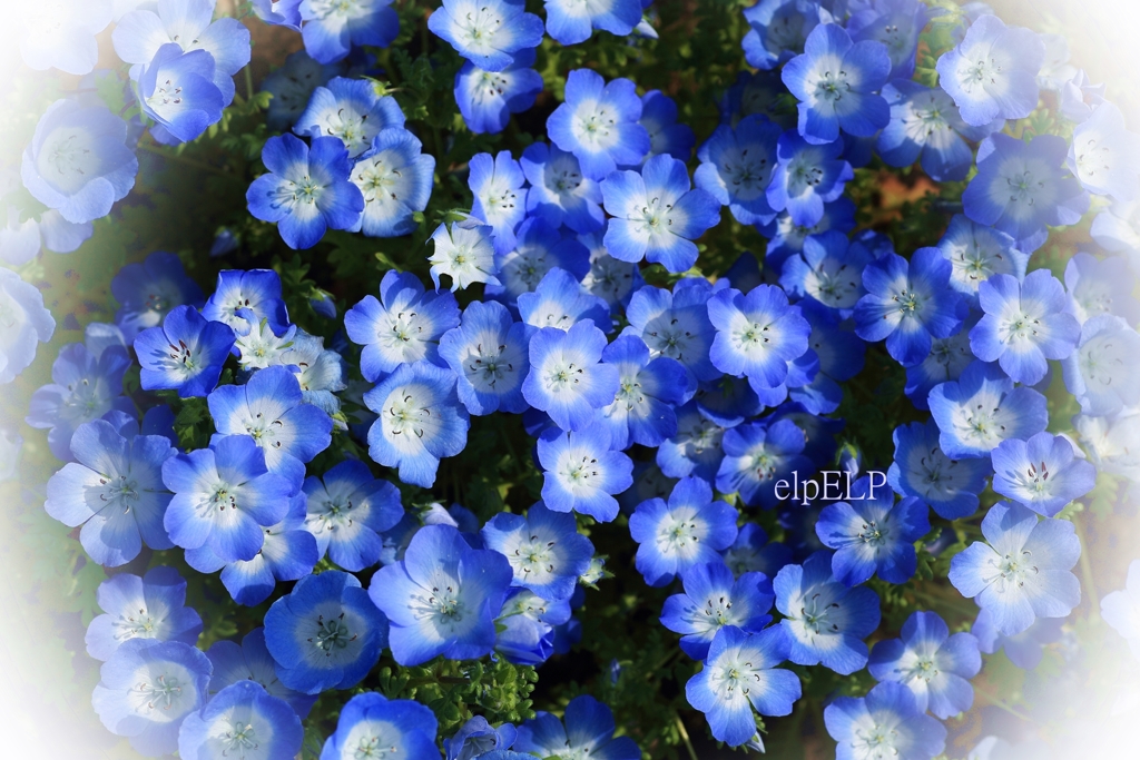 『Friends』