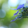 『聴こえる』