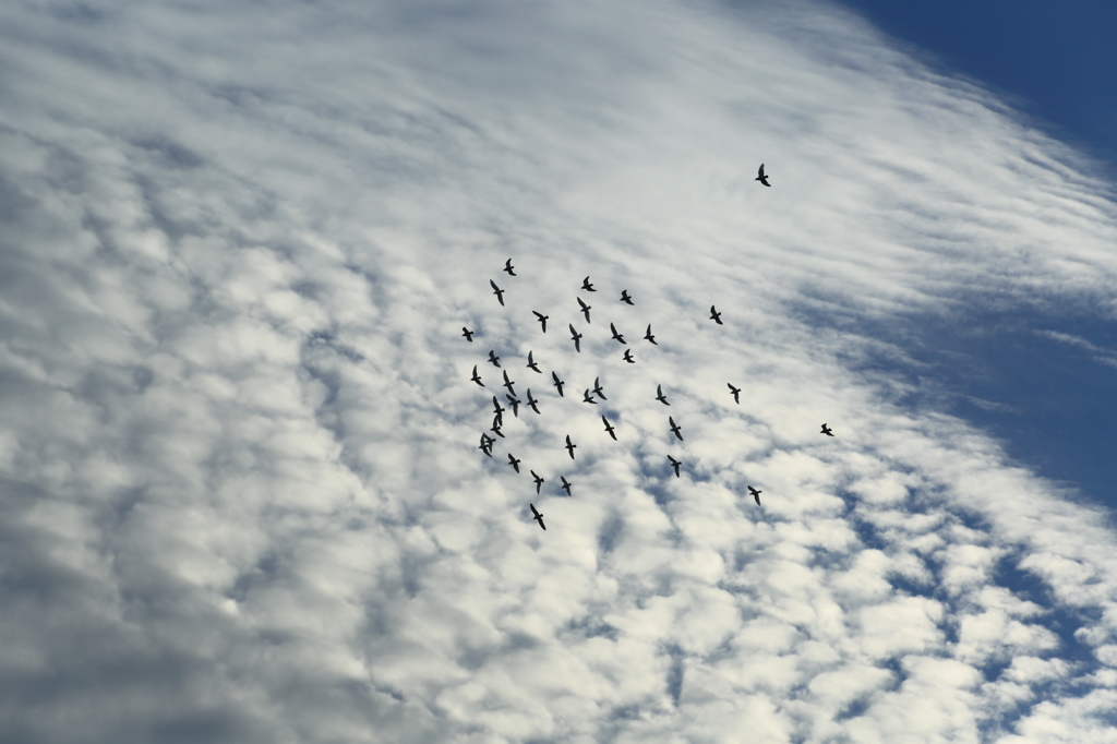 大空へ