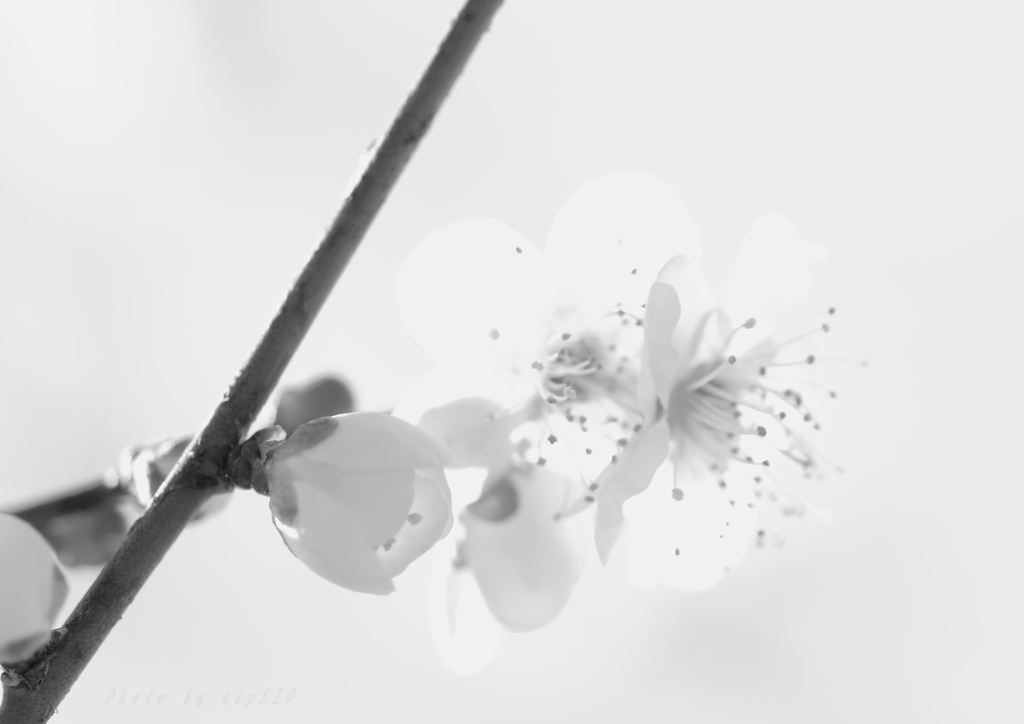 wait a little more・・・