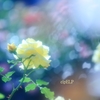 『shower』