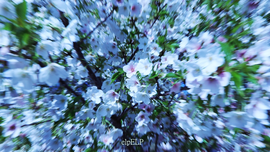 『視線』