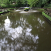 水音