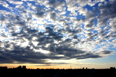 ある日の空