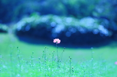 君はひとりじゃない・・・