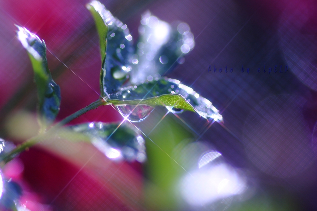 Art of rain Pt13