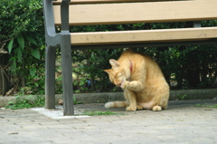 おはよう