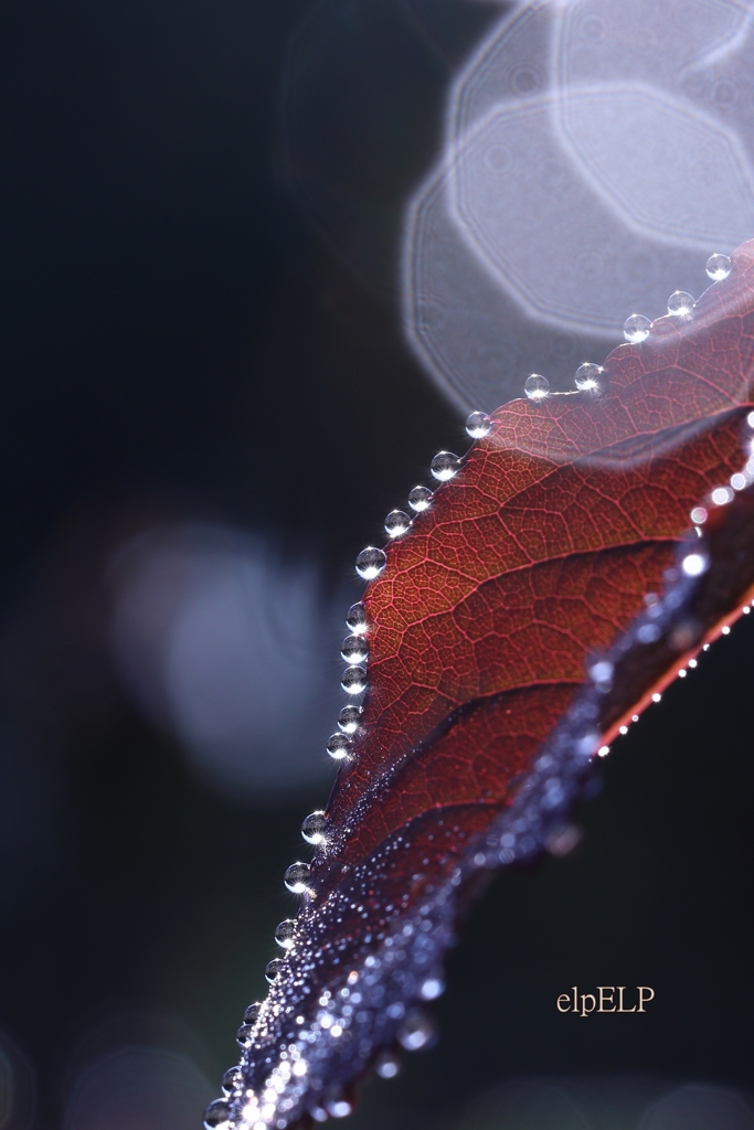 『雨色』