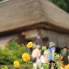 里に咲いて