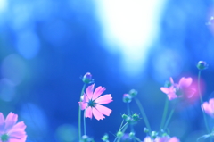 Pure feelings