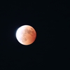 Total lunar eclipse　10.8.2014