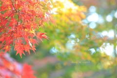 Season in pastel colours