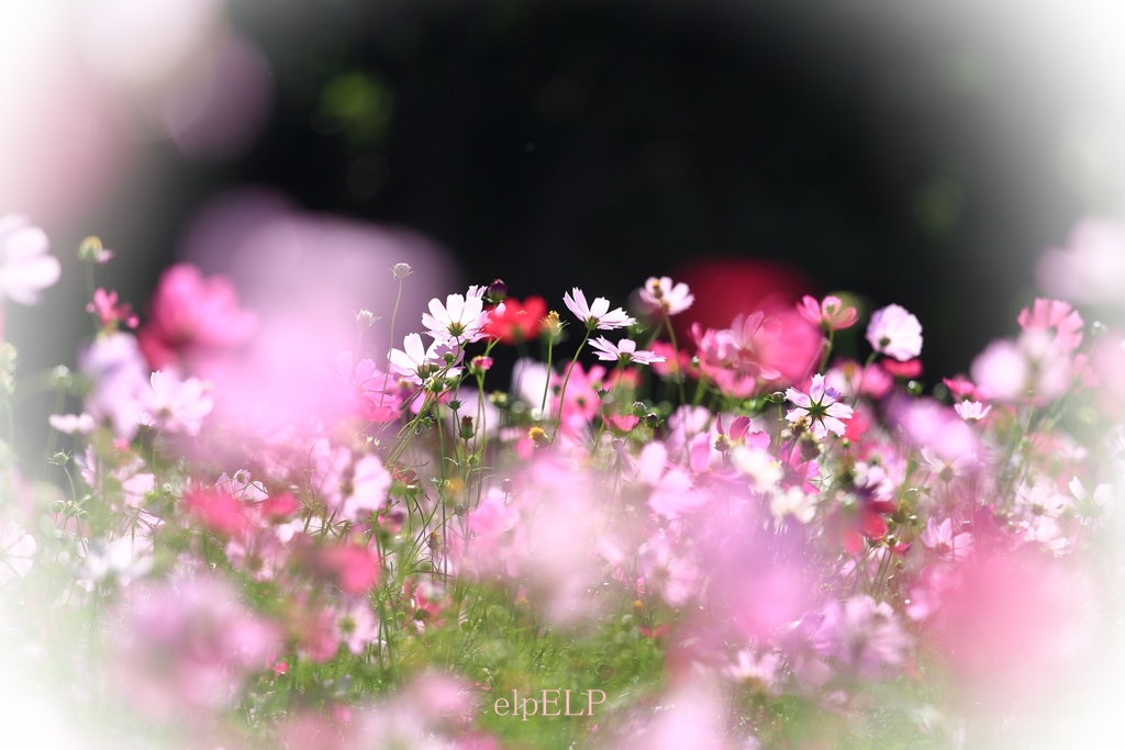 『優しい時間』