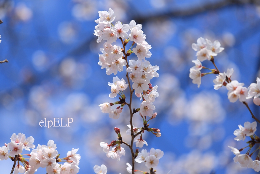『これから・・・』
