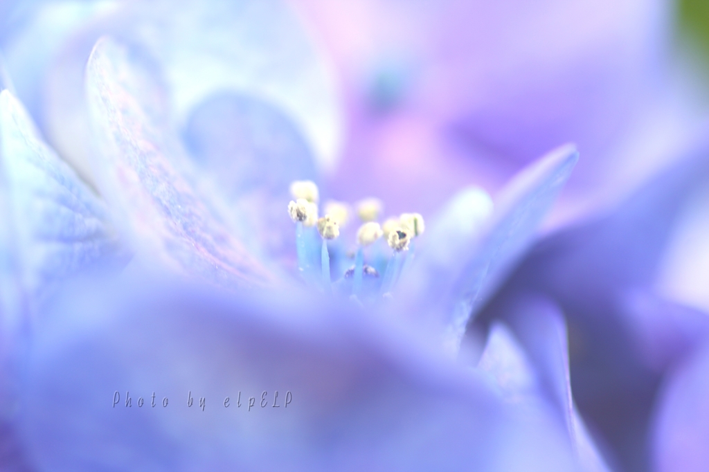 Blue fantasy