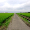 散歩の風景