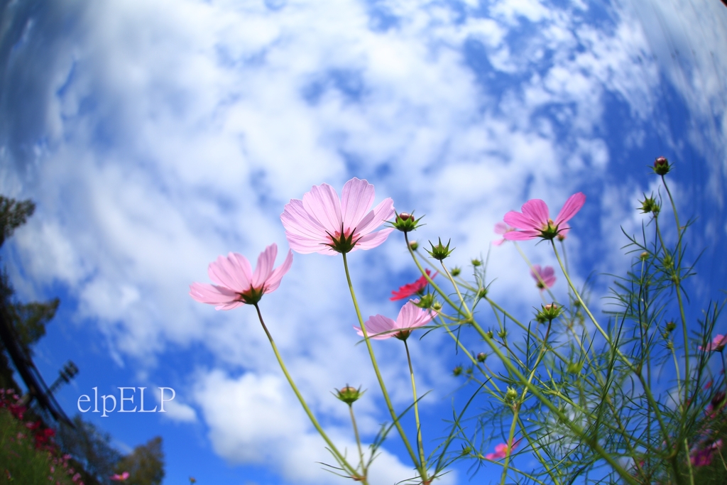 sky