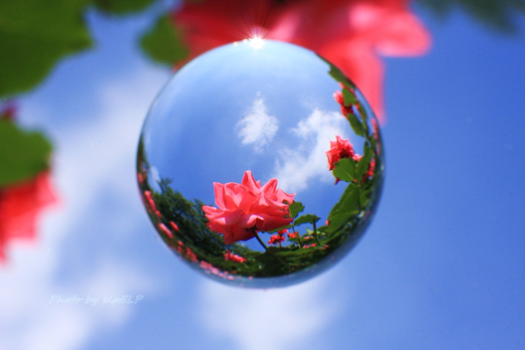 Look up