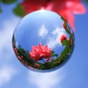 Look up