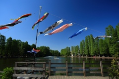 青空を泳いで