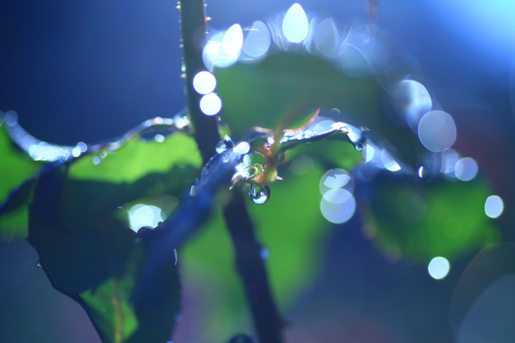 Art of rain Pt3