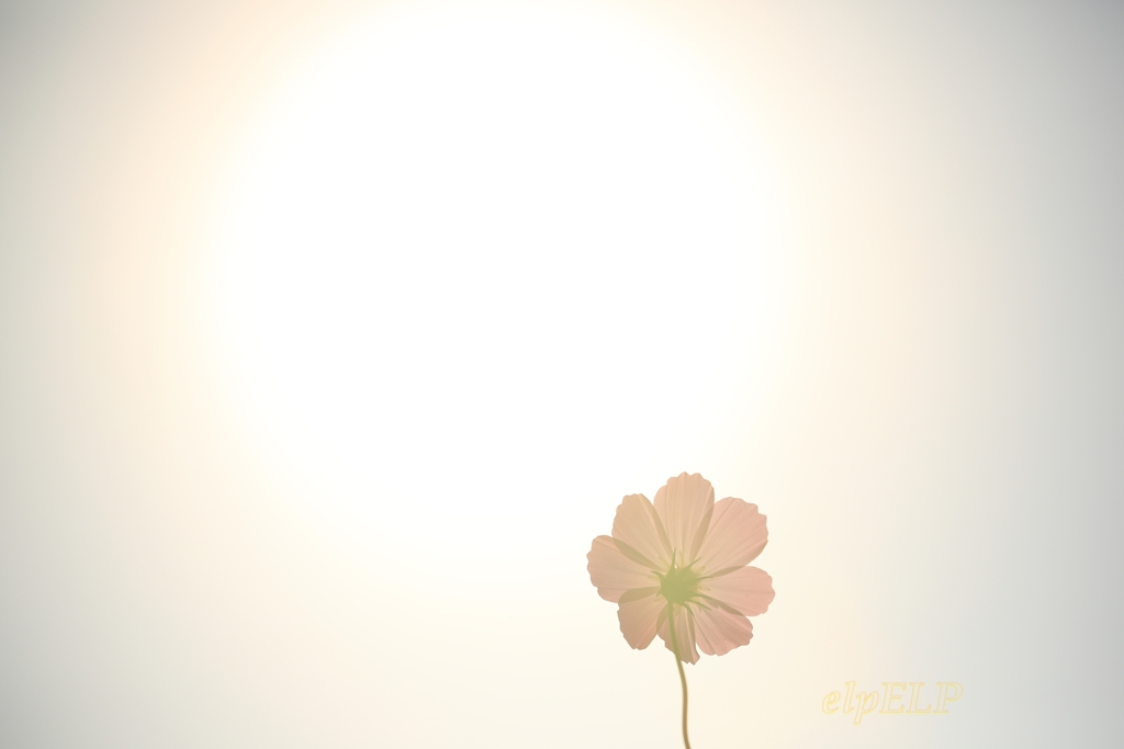 the sun is shining