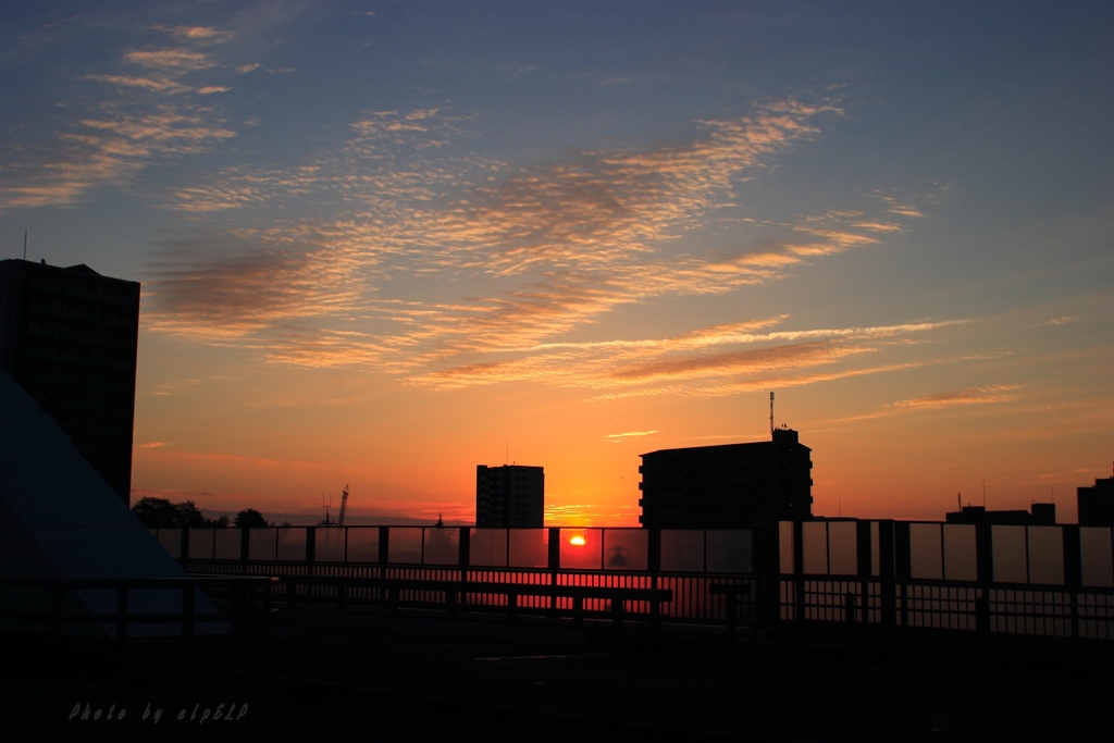 morning color