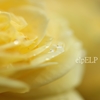 for you