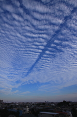 ある日の空１