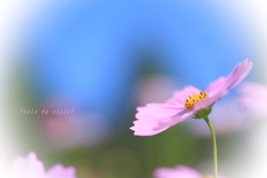 優しさにふれることで・・・