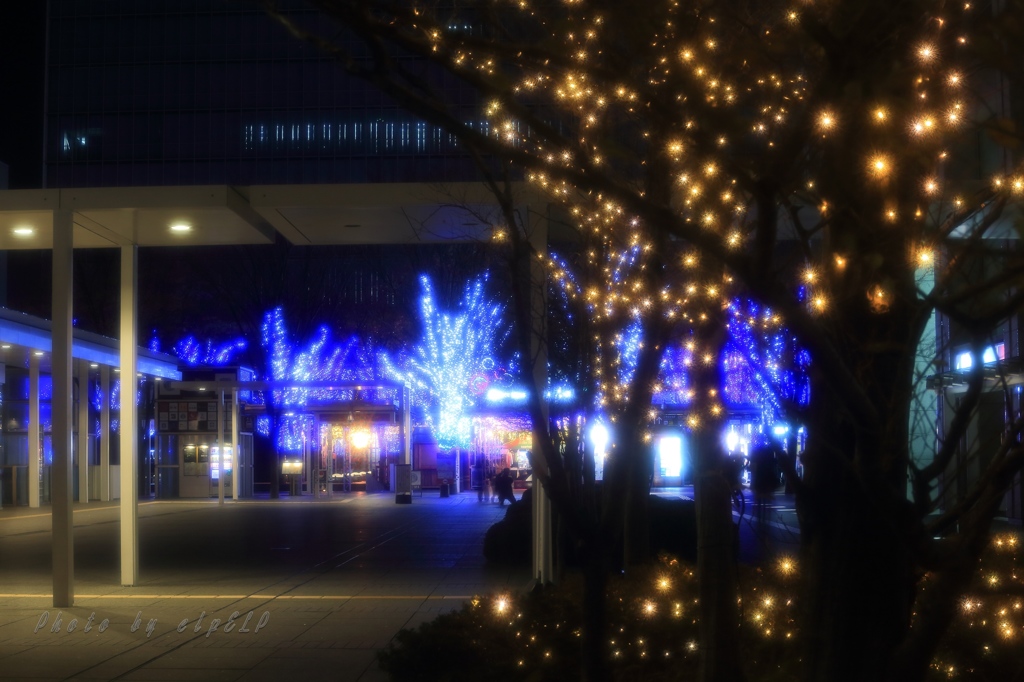 silent night