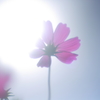 Toward the light