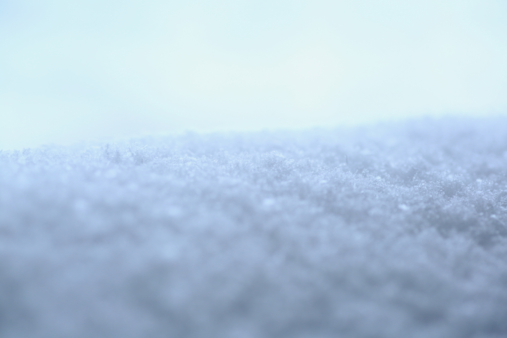 Snow Day