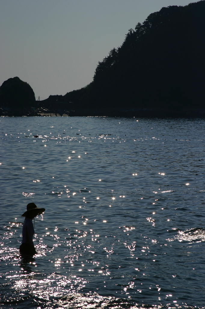 夏が来る・・・