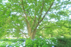 夢の中
