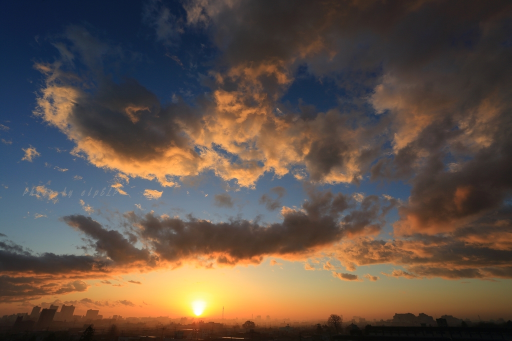 Awakening in December