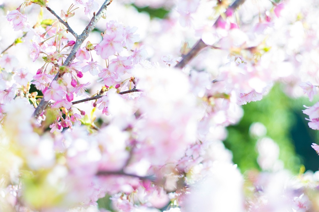 私の幸せ時間は・・