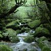 Yakushima