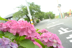 てくてく