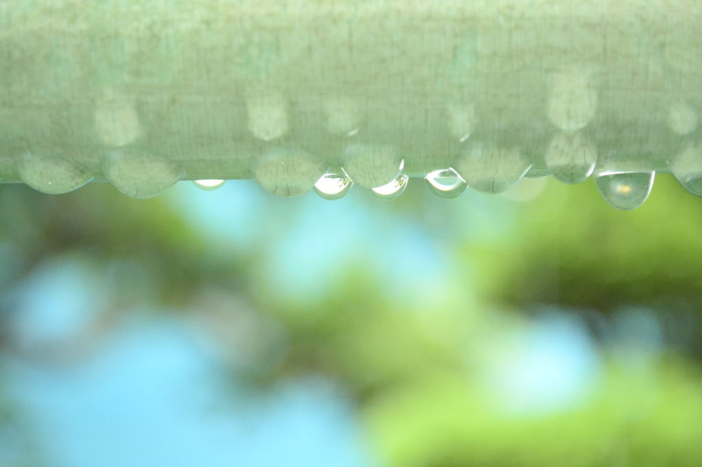 雨粒