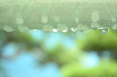 雨粒