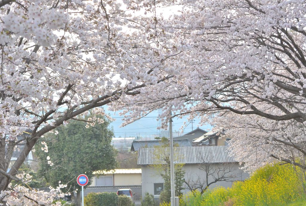 わたしの住むまち*