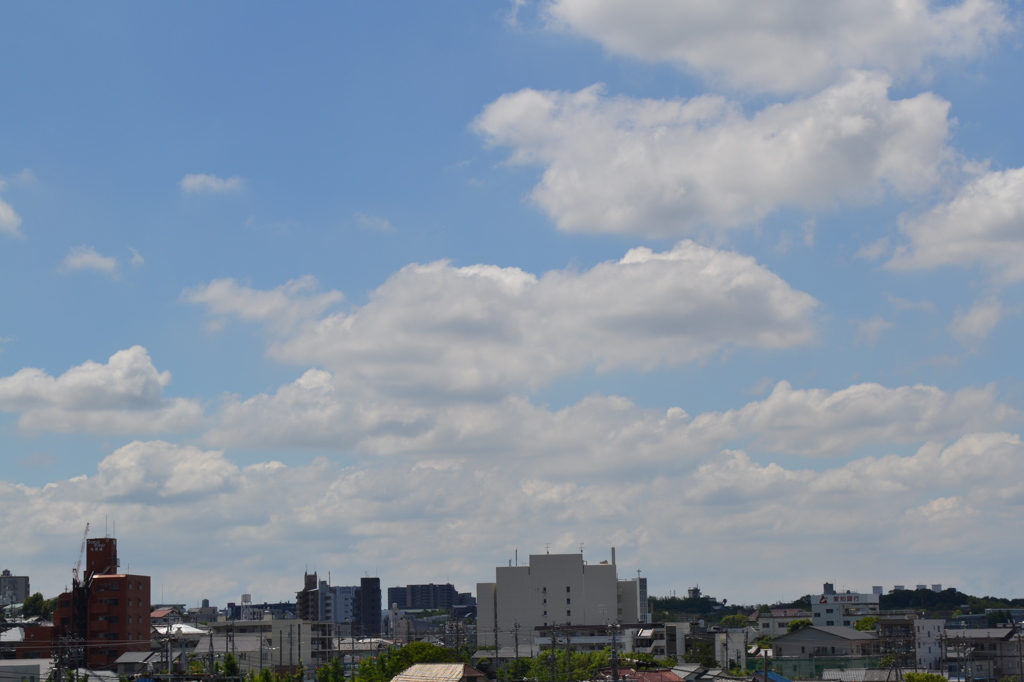 日曜日