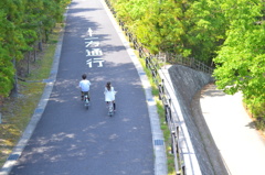 ↑一方通行