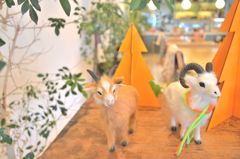 Cafeの小さな森