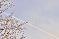 春の空